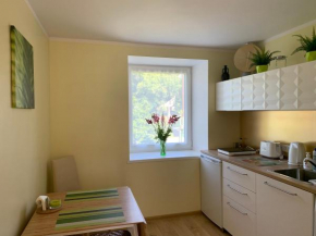 Excelent apartment with garden and free parking, Riga